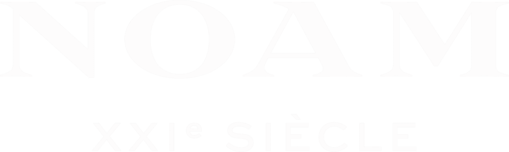 NOAM Logo white (1)